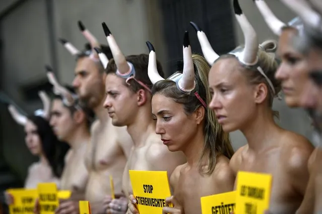 Demonstrators protest against bullfighting in front of the City Hall a day before of the famous San Fermin festival, in Pamplona, northern Spain, Friday, July 5, 2019. The festival will begin on July 6 with the “txupinazo” opening ceremony, with people participating in bull runs, music and dance, through the old city. (Photo by Alvaro Barrientos/AP Photo)