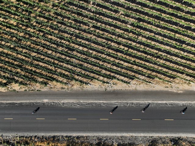 An aerial view as age group athletes compete on the bike course at 2024 IRONMAN 70.3 Washington Tri-Cities on September 22, 2024 in Richland, Washington. (Photo by Patrick McDermott/Getty Images for IRONMAN)