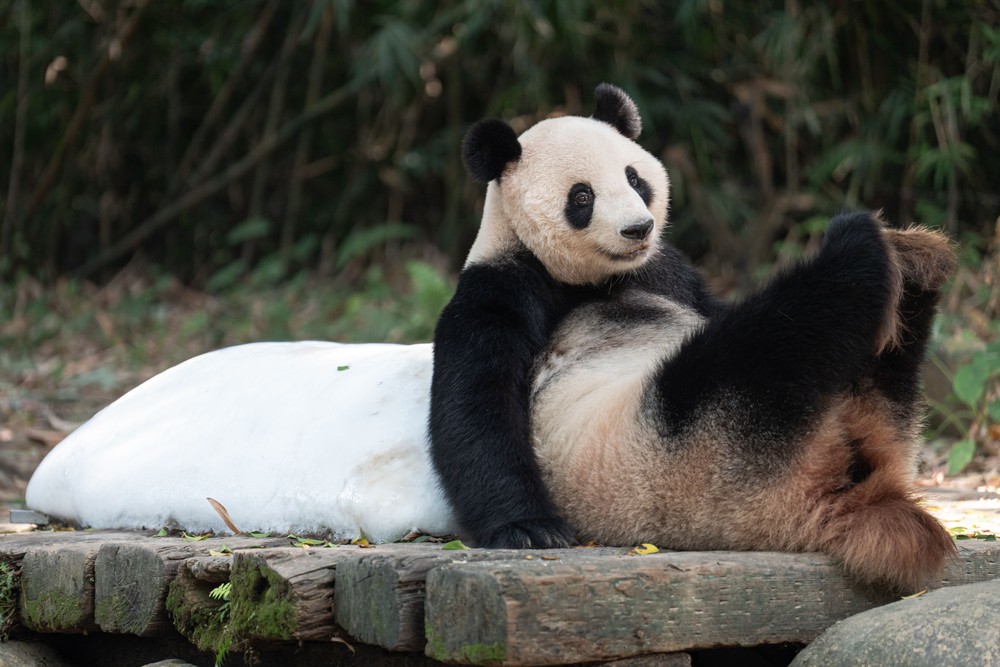 A Look at Life in China