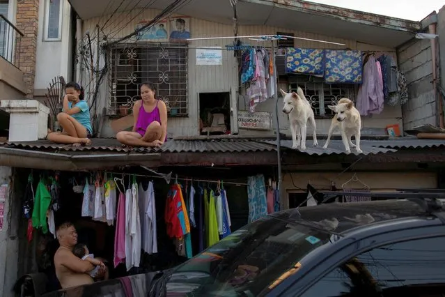 Girls hang out with their dogs on the roof of their house as the Philippine government enforces home quarantine to contain the coronavirus disease (COVID-19) outbreak in Metro Manila, Philippines, April 21, 2020. (Photo by Eloisa Lopez/Reuters)