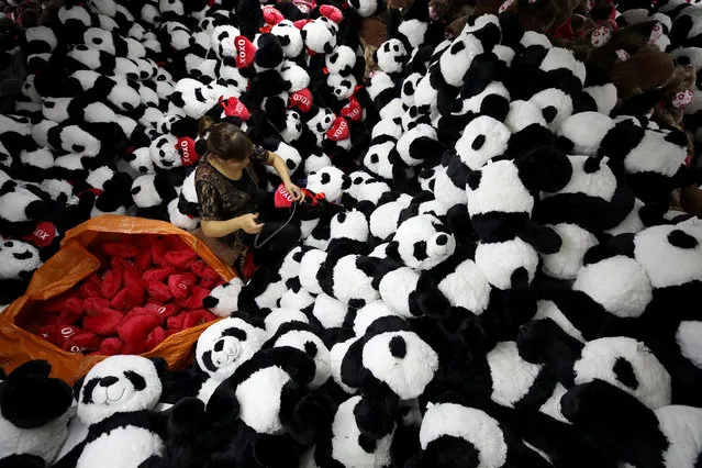 A worker processes panda soft toys for export to American and European markets at a factory in Lianyungang, Jiangsu province, China, October 9, 2017. (Photo by Reuters/China Stringer Network)