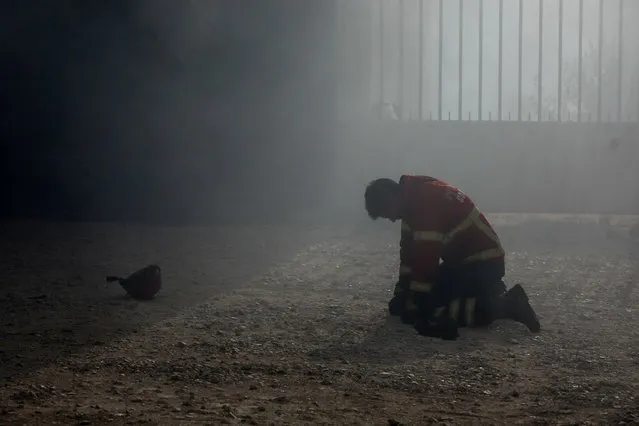 A firefighter kneels on the ground duringg a fire in Vila Nova de Poiares, Lousa, Portugal, 15 October 2017. (Photo by Paulo Cunha/EPA)