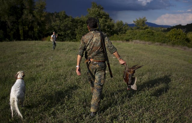 A hunter holds a shot male pheasant during the first day of the Italy hunting season in Castell'Azzara, Tuscany, central Italy, September 20, 2015. (Photo by Max Rossi/Reuters)