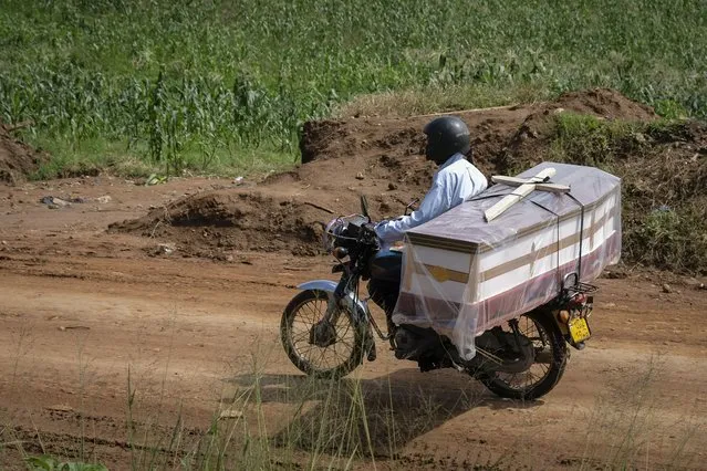 A motorcyclist transports a coffin to be used for the burial of an Ebola victim, in the town of Kassanda in Uganda Tuesday, November 1, 2022. Ugandan health officials say they have controlled the spread of a strain of Ebola that has no proven vaccine, but there are pockets of resistance to health measures among some in rural communities where illiteracy is high and restrictions on movement and business activity have left many bitter. (Photo by Hajarah Nalwadda/AP Photo)