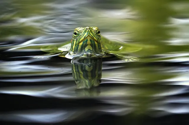 Photo by Shikhei Goh