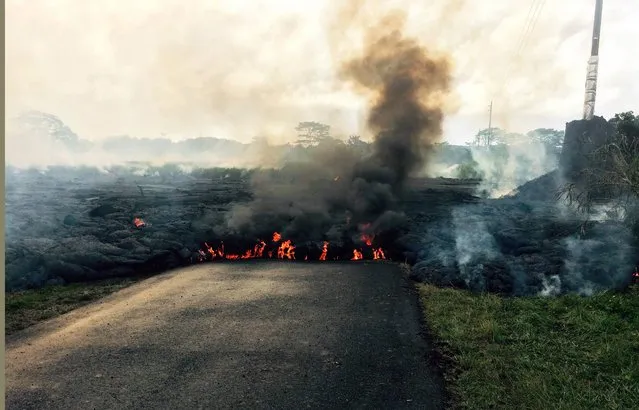 In this October 24, 2014 photo from the U.S. Geological Survey, the lava flow from Kilauea Volcano that began June 27 is seen as it crossed Apa'a Street near Cemetery Road near the town of Pahoa on the Big Island of Hawaii. (Photo by AP Photo/U.S. Geological Survey)