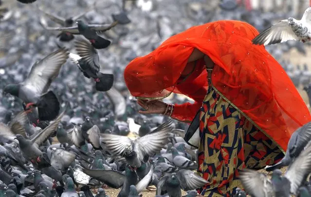 A Hindu women offer prayers after feeds pigeons in Hyderabad, India, Saturday, December 10, 2022. (Photo by Mahesh Kumar A./AP Photo)
