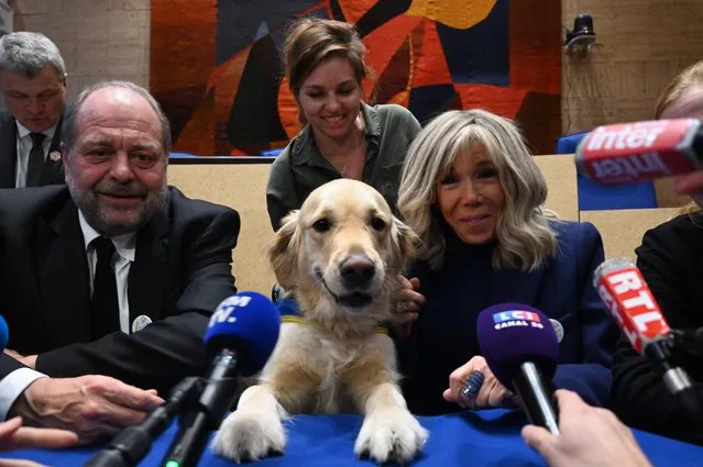 French President's wife Brigitte Macron (R), reacts next to French Justice Minister Eric Dupond-Moretti (2ndL), as they talk to the press while presenting a Golden Retriever trained as a legal assistant dog for minor victims at Orleans' courthouse, in Orleans, central France, on December 20, 2022. (Photo by Jean-Francois Monier/AFP Photo)