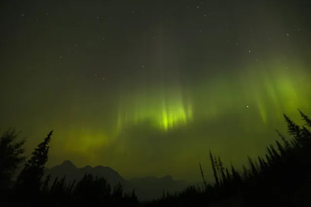The Northern Lights appear in the sky through a layer of smoke caused by multiple wildfires in the early hours of September 4, 2022 in Banff National Park, Alberta, Canada. The Northern Lights are a result of interactions between sun and the earth's magnetic field causing electrons to pass over the atmosphere at high speeds. (Photo by Lance King/Getty Images)