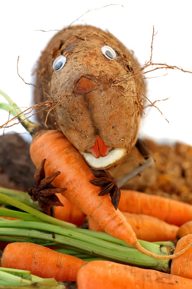 Amusing Bestiary by Vanessa Dualib