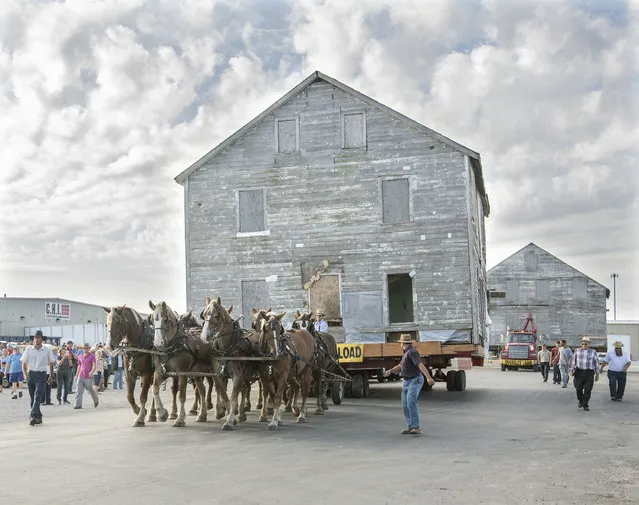 In this Tuesday, September 20, 2016 photo, an eight team hitch of horses begins to move Moses Yoder house, built in 1866, from Arthur, Ill., to the site of the new Illinois Amish Museum and Heritage Center near Chesterville, Ill. (Photo by John Dixon/The News-Gazette via AP Photo)