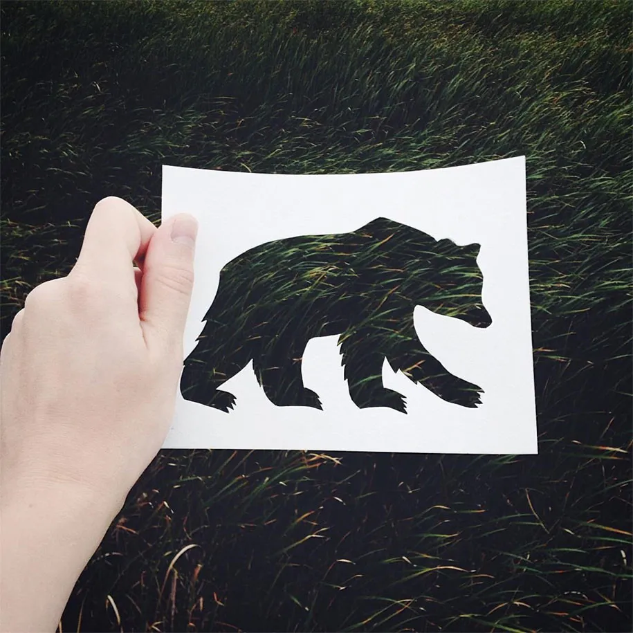 Nature Animal Paper Silhouettes by Nikolai Tolstyh