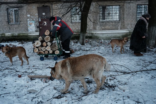 A man pushes a cart loaded with firewood beside stray dogs as the sounds of shelling continue in the frontline city of Avdiivka on February 8, 2023, amid the Russian invasion of Ukraine. (Photo by Yasuyoshi Chiba/AFP Photo)