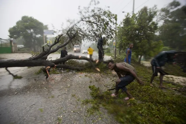 People work to remove an uprooted tree from a road in Leogane, Haiti. Tuesday, October 4, 2016. Matthew slammed into Haiti's southwestern tip with howling, 145 mph winds Tuesday, tearing off roofs in the poor and largely rural area, uprooting trees and leaving rivers bloated and choked with debris. (Photo by Dieu Nalio Chery/AP Photo)