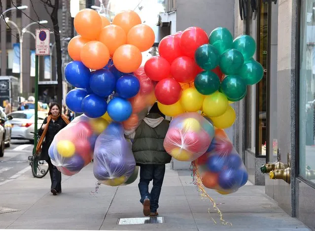 A delivery man walks down the street in Midtown Manhattan with a large array of balloons November 17, 2015. (Photo by Timothy A. Clary/AFP Photo)