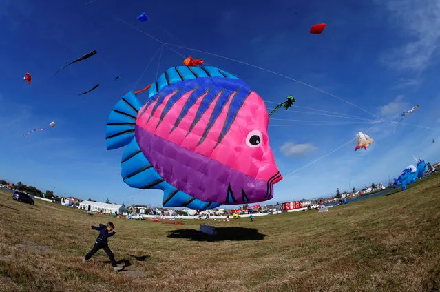 Kites of all shapes and sizes fill the air at the 22nd Cape Town International Kite Festival in Cape Town, South Africa, October 29, 2016. (Photo by Mike Hutchings/Reuters)