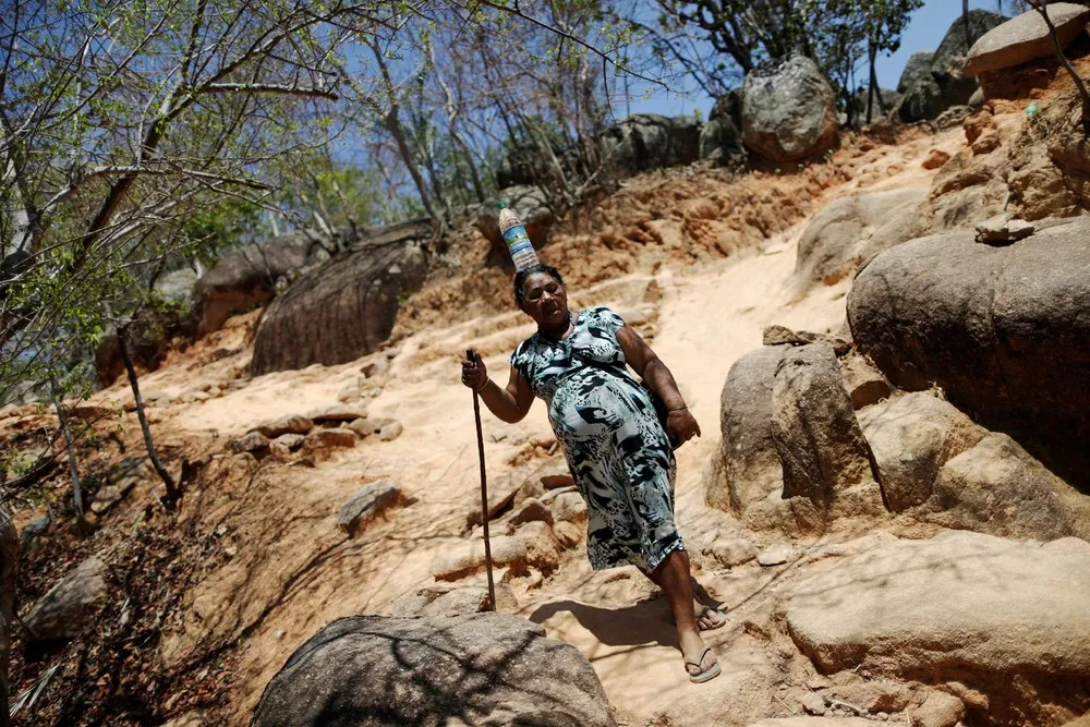 The Day in Photos – November 1, 2016