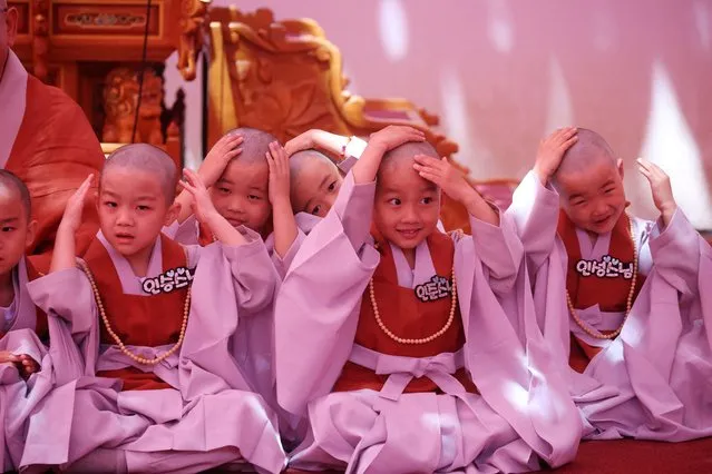 Novice monks react after getting their heads shaved during an event to celebrate the upcoming Vesak Day, birthday of Buddha, at Jogye temple in Seoul, South Korea on May 9, 2023. Nine children began on Tuesday experiencing Buddhist priests' lives as novice monks for three weeks at the temple. (Photo by Kim Hong-Ji/Reuters)