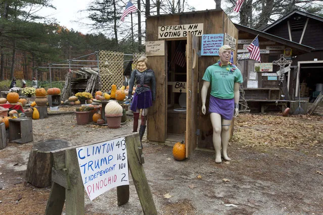 Mannequins for Democratic presidential candidate Hillary Clinton, left, and Republican presidential candidate Donald Trump are on display outside an outhouse used as an unofficial voting booth at Chris Owens's farm on Tuesday, November 1, 2016, in Ashland, N.H. A week before Election Day, a New Hampshire farm stand owner has decided to tally customers' votes for president from an outhouse-turned-fake-voting booth. The winner: Hillary Clinton. (Photo by Jim Cole/AP Photo)
