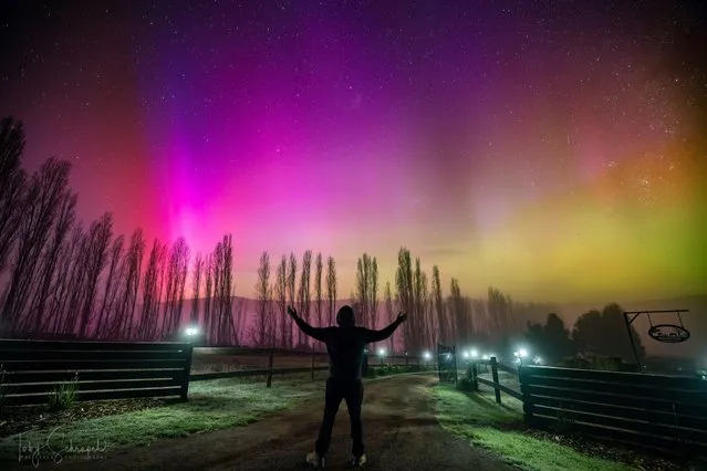 A person looks up at the Aurora Australis in Judbury in the Huon Valley, Tasmania on April 24, 2023. (Photo by Toby Schrapel freelance photography/The Guardian)