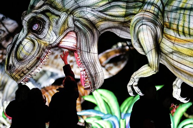 Visitors observe a light installation on display as part of the Lantern Festival 2024 at the Jardin d'Acclimatation in Paris, France, 27 November 2024. This year's edition of the Lantern Festival will feature about 40 species of dinosaurs along its illuminated route at the Jardin d'Acclimatation amusement park from 29 November 2024 to 02 March 2025. (Photo by Mohammed Badra/EPA)