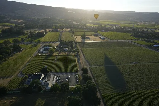 A hot air balloon floats over vineyards, seen from a Napa Valley Aloft balloon, in Napa, Calif., Monday, June 19, 2023. This year, wine grapes are thriving after a winter of record amounts of rain fell in California, but a recent trip high above the valley in a hot air balloon revealed miles of lush, green vineyards – the only blemish coming from shadows cast by the balloons themselves. (Photo by Eric Risberg/AP Photo)