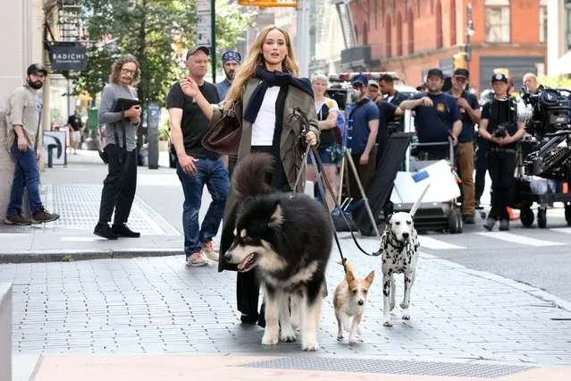 American actress Jennifer Lawrence walks three dogs filming a Christian Dior commercial in New York City in the last decade of June 2023. (Photo by Christopher Peterson/Splash News and Pictures)