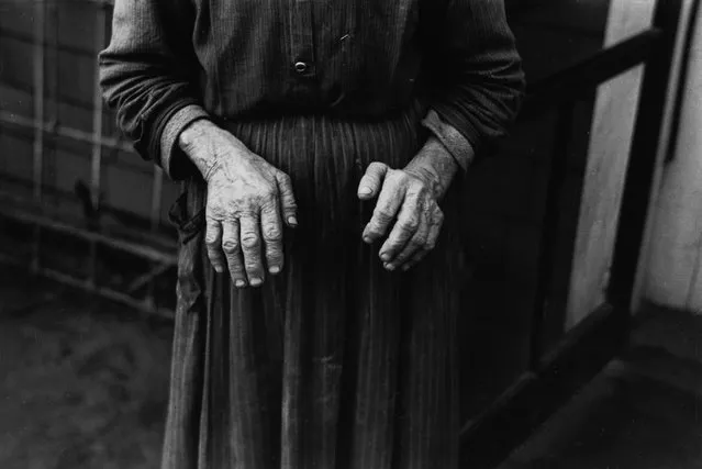 "Hands of Old Homesteader, Iowa," by American Photographer Russell Lee, 1936. (Photo by Russell Lee)