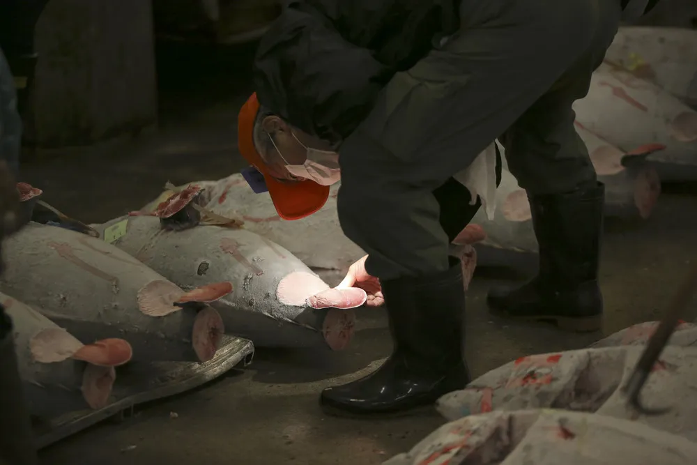 80-year-old Tokyo Fish Market holds Final New Year Auction