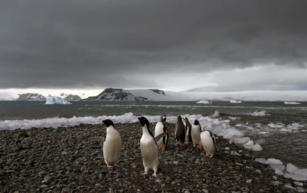 Antarctica Mysteries Photo Essay