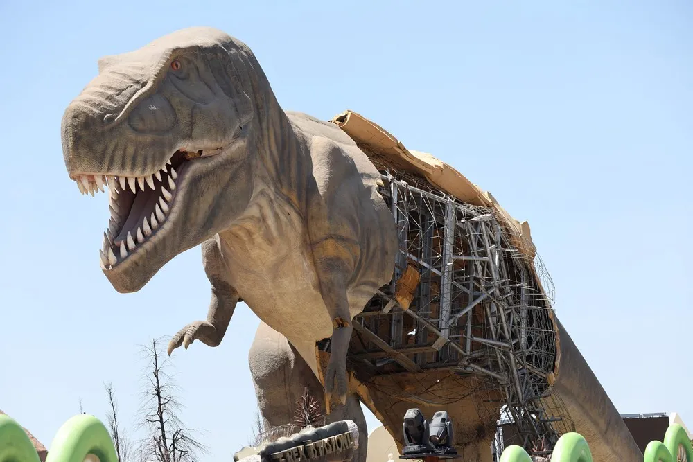 Pictures of the Year 2022, Part 083/163