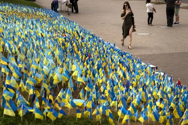 Ukrainian flags to honor soldiers killed fighting Russian troops, are placed in a garden in Kiev's Independence Square, Ukraine, Sunday, August 28, 2022. (Photo by Emilio Morenatti/AP Photo)