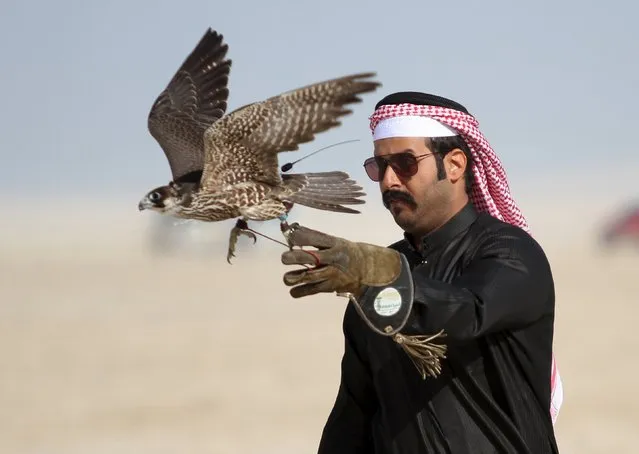 A Qatari man releases his falcon during a falcon contest at Qatar International Falcons and Hunting Festival at Sealine desert, Qatar January 29, 2016. The participants at the contest compete for the fastest falcon at attacking its prey. Scores of wealthy Gulf Arabs descend on Iraq to hunt the houbara bustard, a rare desert bird, with trained falcons through the winter months. But the kidnapping of 26 Qataris in December 2015 in the Iraqi desert while hunting, including members of the country's royal family, has highlighted the risks of pursuing the “sport of kings” at a time of heightened regional turmoil. (Photo by Naseem Zeitoon/Reuters)