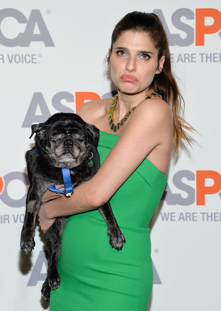 Actress Lake Bell poses with an adoptable dog at the 18th Annual ASPCA Bergh Ball at the Plaza Hotel on Thursday, April 9, 2015, in New York. (Photo by Evan Agostini/Invision/AP Photo)