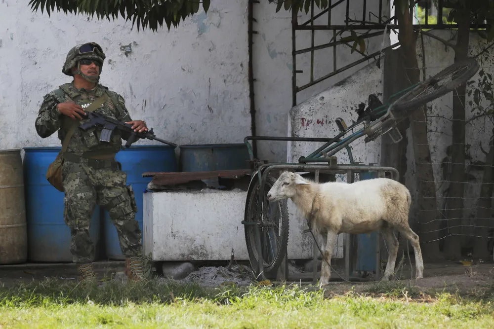 The Day in Photos – January 18, 2019