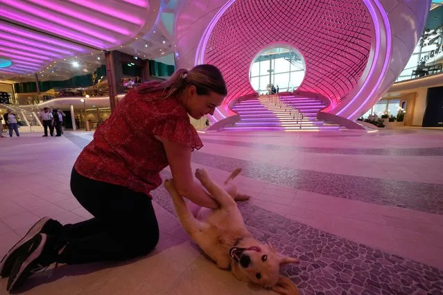 Chief of Staff Alison Hubble plays with her dog Rover, who lives aboard the ship and is known as the “Chief Dog Officer”, during a media day preview of Icon of the Seas, the world's largest cruise ship, as it prepares for its inaugural public voyage later this month, Thursday, January 11, 2024, at PortMiami in Miami. (Photo by Rebecca Blackwell/AP Photo)