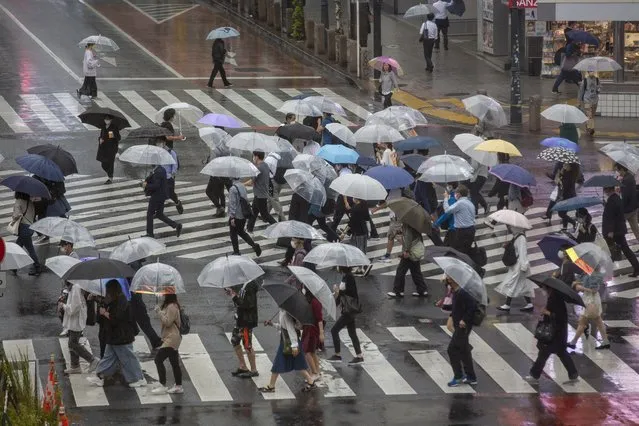Commuters with umbrellas walk a crosswalk as Typhoon Mindulle travels off the coast of Japan Friday, October 1, 2021, in Tokyo. Japan fully came out of a coronavirus state of emergency for the first time in more than six months as the country starts to gradually ease virus measures to help rejuvenate the pandemic-hit economy as the infections slowed. (Photo by Kiichiro Sato/AP Photo)