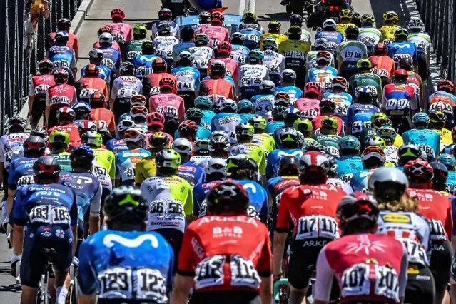 The peloton rides across a bridge during the fourth stage of the Tour Down Under cycling race in Adelaide on January 19, 2024. (Photo by Brenton Edwards/AFP Photo)