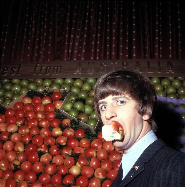 Ringo Starr of The Beatles samples an apple during a visit to Australia House in London, England, 1964. (Photo by AP Photo)