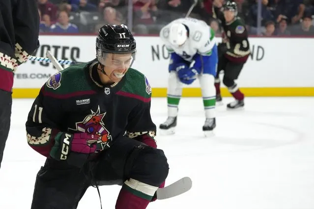 Arizona Coyotes right wing Dylan Guenther (11) celebrates his goal against the Vancouver Canucks during the third period of an NHL hockey game Wednesday, April 3, 2024, in Tempe, Ariz. (Photo by Ross D. Franklin/AP Photo)