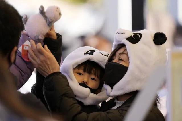 Visitors with panda hats pick up a souvenir product Wednesday, January 12, 2022, at Ueno Zoo. in Tokyo. (Photo by Eugene Hoshiko/AP Photo)