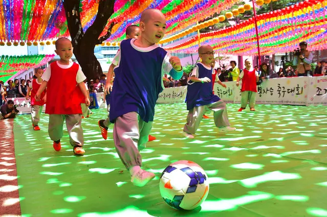 Young South Korean novice monks play football under lotus lanterns during their training program entitled “Children Becoming Buddhist Monks” at the Jogye Temple in Seoul on May 4, 2016. A special temple-stay program for children to learn about Buddhism, including shaving their heads and wearing monk's robes, continues for two weeks ahead of celebrations for Buddha's birthday on May 14. (Photo by Jung Yeon-Je/AFP Photo)