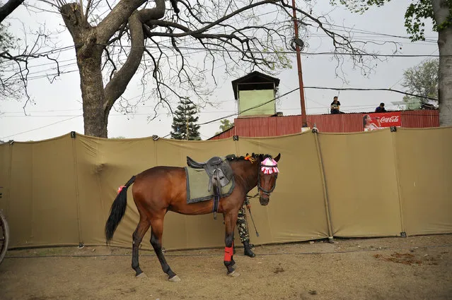 A Nepalese Army arrives along with his horse to take part in Ghode Jatra or the “Festival of Horse” celebrated at the Army Pavilion, Tudikhel, Kathmandu, Nepal on Monday, March 27, 2017. (Photo by Narayan Maharjan/NurPhoto)