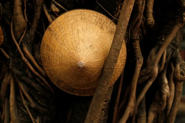 A Vietnamese traditional hat, known as a non la, is seen in a tree in Hoi An, Vietnam April 5, 2016. (Photo by Jorge Silva/Reuters)