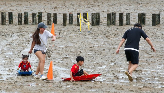 A family participating in the 10th Muan Red Clay Tidal Flat Festival held at Muan Red Clay Tidal Flat Land, Haeje-myeon, Muan-gun, Jeollanam-do on the 23rd, 2024 is having a good time in the mud field. (Photo by Kim Young-geun)