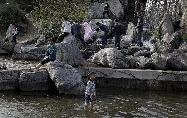 A North Korean bride negotiates her way over rocks after posing for photos at a park, Tuesday, May 5, 2015 in Pyongyang, North Korea. This park which is near the People's Grand Studying House in the city of Pyongyang, is frequented by locals looking to take evening strolls, relax, read and even pose for wedding photos. (Photo by Wong Maye-E/AP Photo)