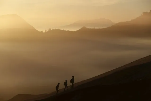 People climb the slope of Bromo mountain to attend the Kasada Festival in Probolinggo, Indonesia's East Java province, August 1, 2015. (Photo by Reuters/Beawiharta)