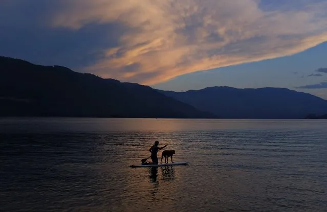 A paddleboarder and dog travel along Shuswap Lake as the sun sets in Sicamous, British Columbia. (Photo by Jason Franson/The Canadian Press via AP Photo)