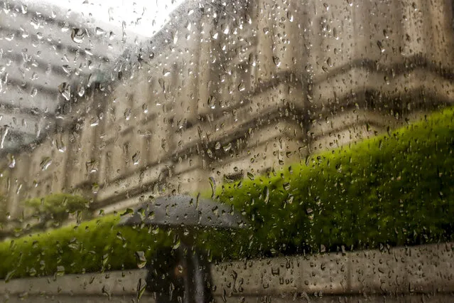 Raindrops run down a window pane as a businessman walks past the Bank of Japan headquarters in Tokyo, Japan, April 28, 2016. (Photo by Thomas Peter/Reuters)