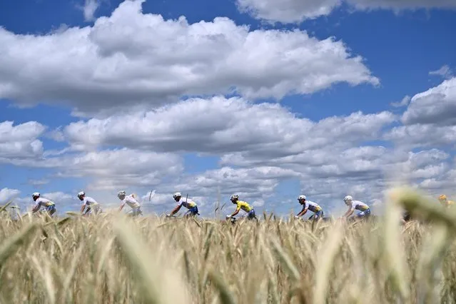 The pack rides in the third stage of the 74th edition of the Criterium du Dauphine cycling race, 169 km between Saint-Paulien and Chastreix-Sancy on June 7, 2022. (Photo by Marco Bertorello/AFP Photo)